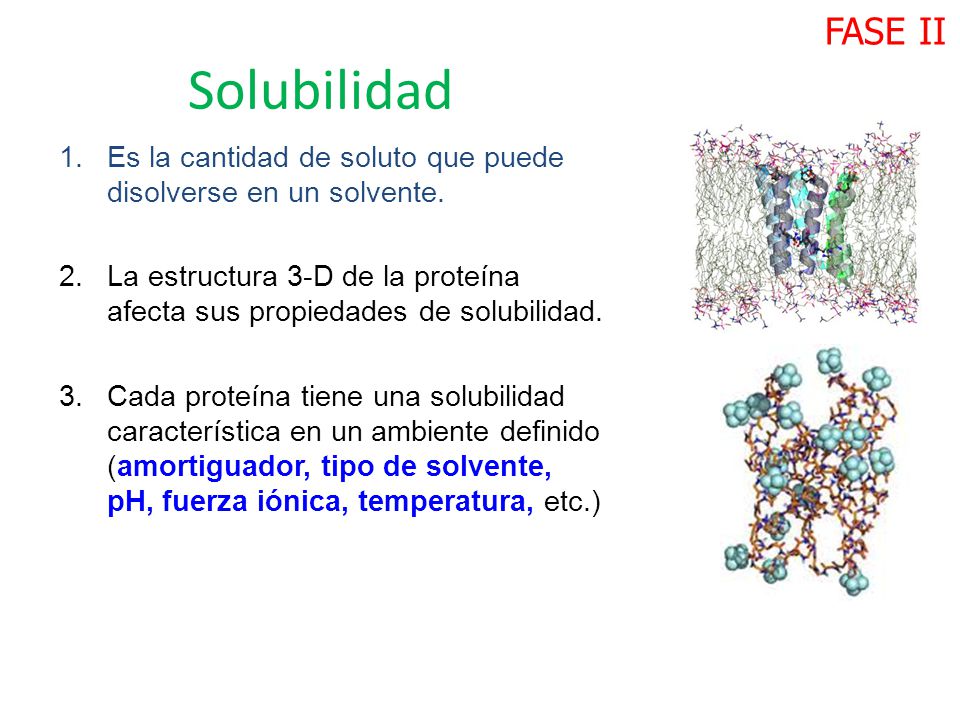 FASE II Solubilidad. Es la cantidad de soluto que puede disolverse en un solvente.