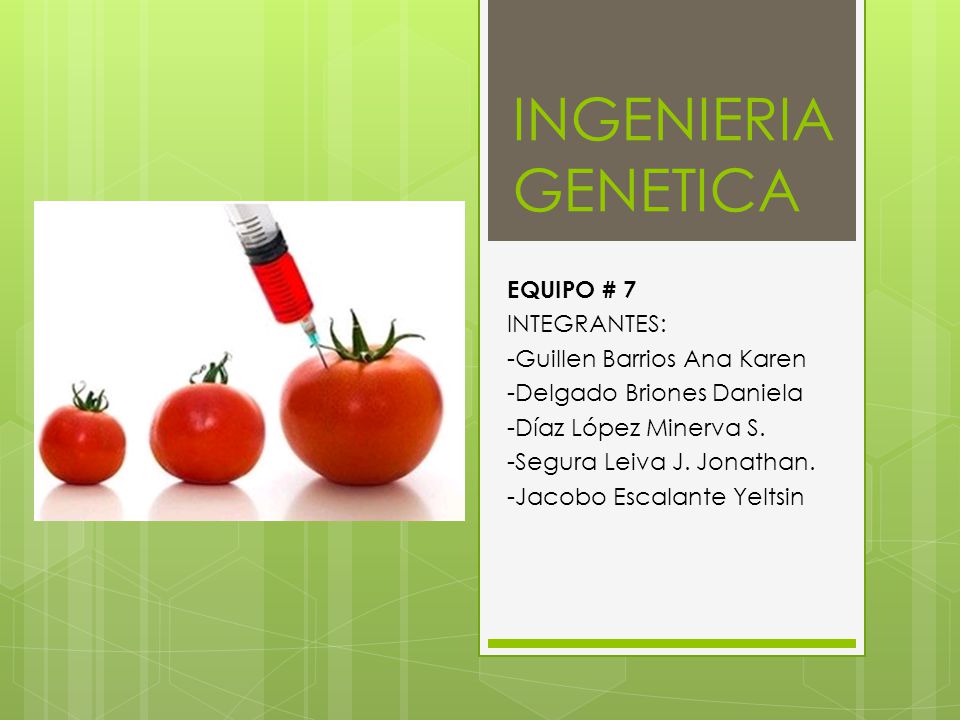 INGENIERIA GENETICA EQUIPO # 7 INTEGRANTES: -Guillen Barrios Ana Karen
