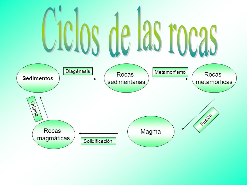Ciclos de las rocas Rocas sedimentarias Rocas metamórficas Magma Rocas