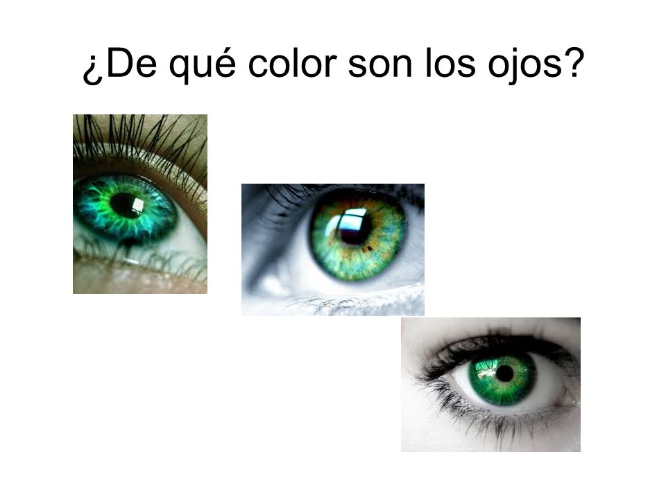 ¿De qué color son los ojos