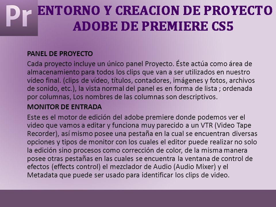 PANEL DE PROYECTO Cada proyecto incluye un único panel Proyecto