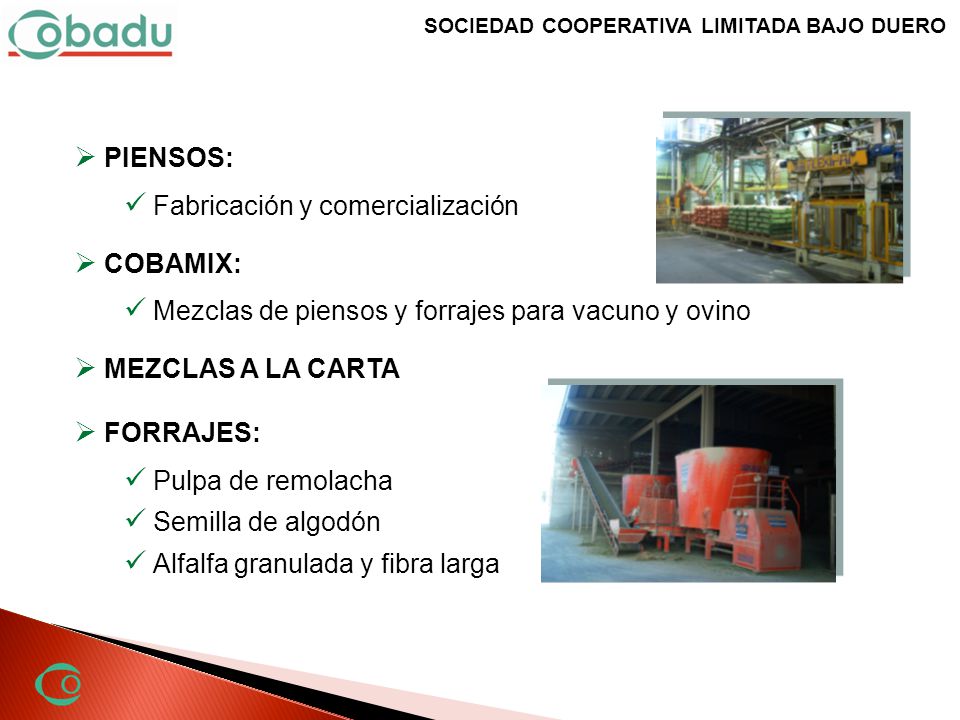 PIENSOS: Fabricación y comercialización. COBAMIX: Mezclas de piensos y forrajes para vacuno y ovino.