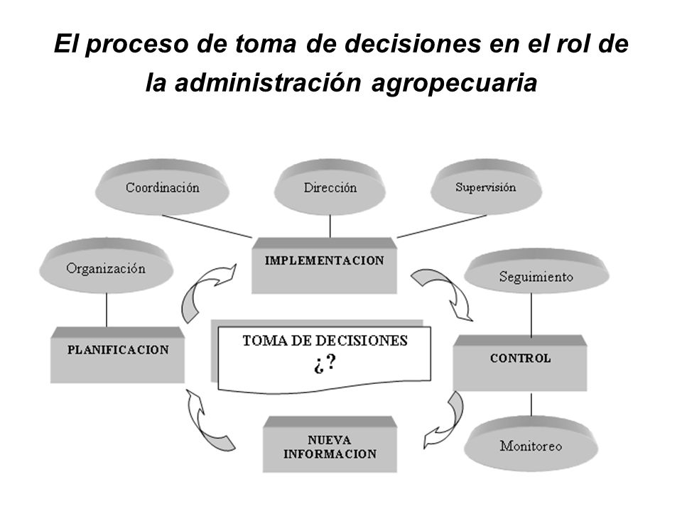 El proceso de toma de decisiones en el rol de la administración agropecuaria