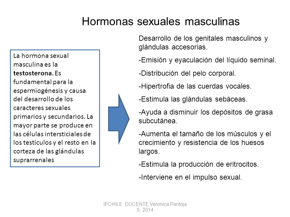 IPCHILE DOCENTE:Veronica Pantoja S. 2014