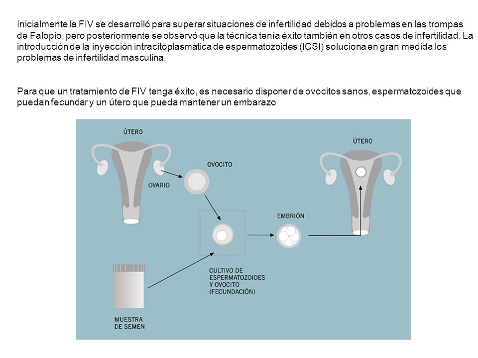 Inicialmente la FIV se desarrolló para superar situaciones de infertilidad debidos a problemas en las trompas de Falopio, pero posteriormente se observó que la técnica tenía éxito también en otros casos de infertilidad. La introducción de la inyección intracitoplasmática de espermatozoides (ICSI) soluciona en gran medida los problemas de infertilidad masculina.