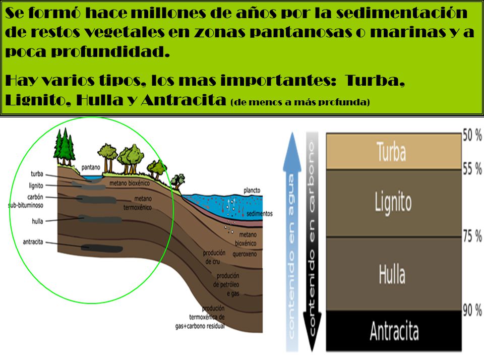 Se formó hace millones de años por la sedimentación de restos vegetales en zonas pantanosas o marinas y a poca profundidad.
