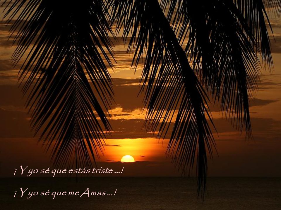 ¡ Y yo sé que estás triste …! ¡ Y yo sé que me Amas …!