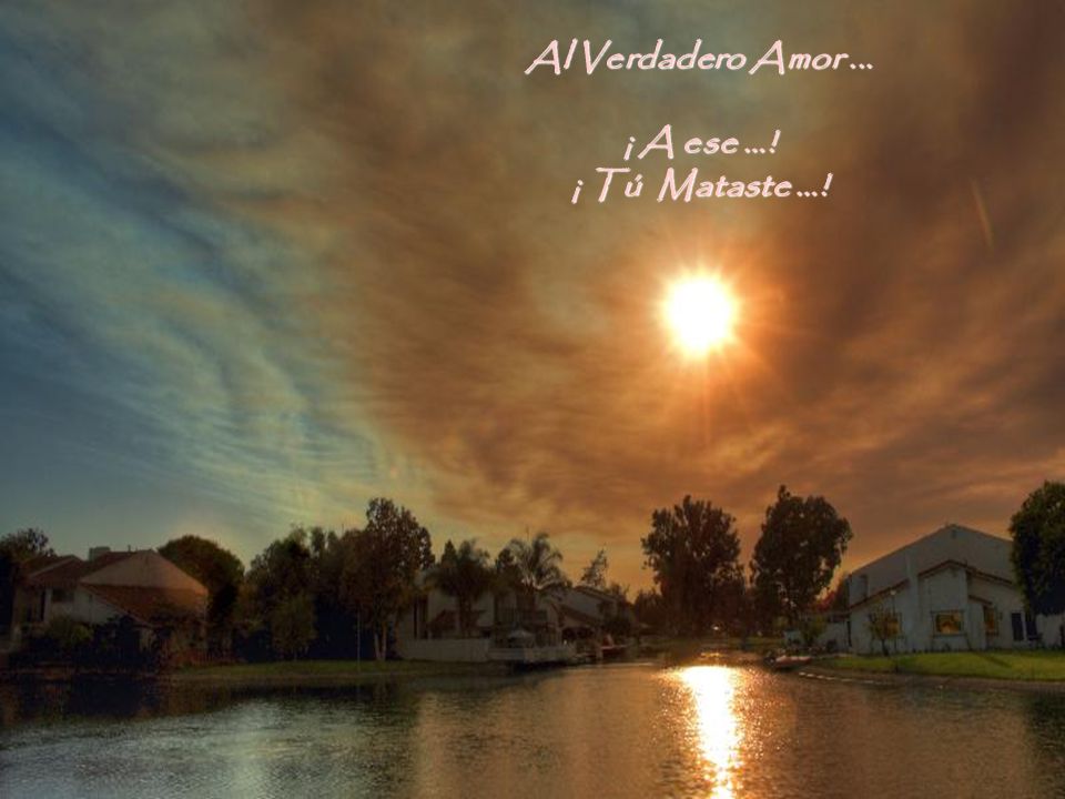 Al Verdadero Amor ... ¡ A ese …! ¡ Tú Mataste …!