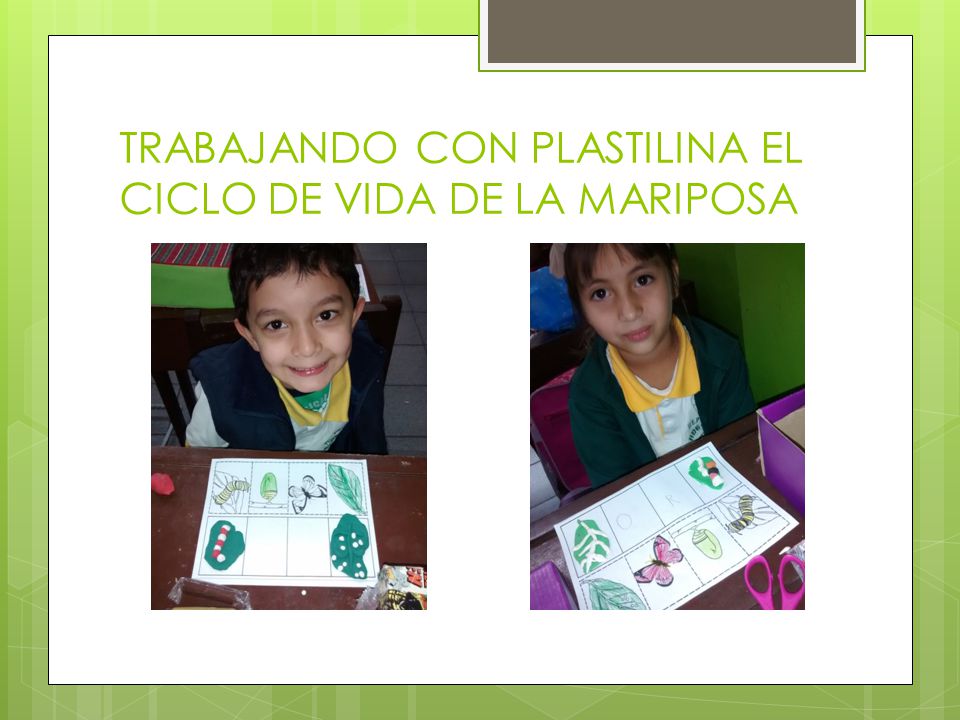 TRABAJANDO CON PLASTILINA EL CICLO DE VIDA DE LA MARIPOSA