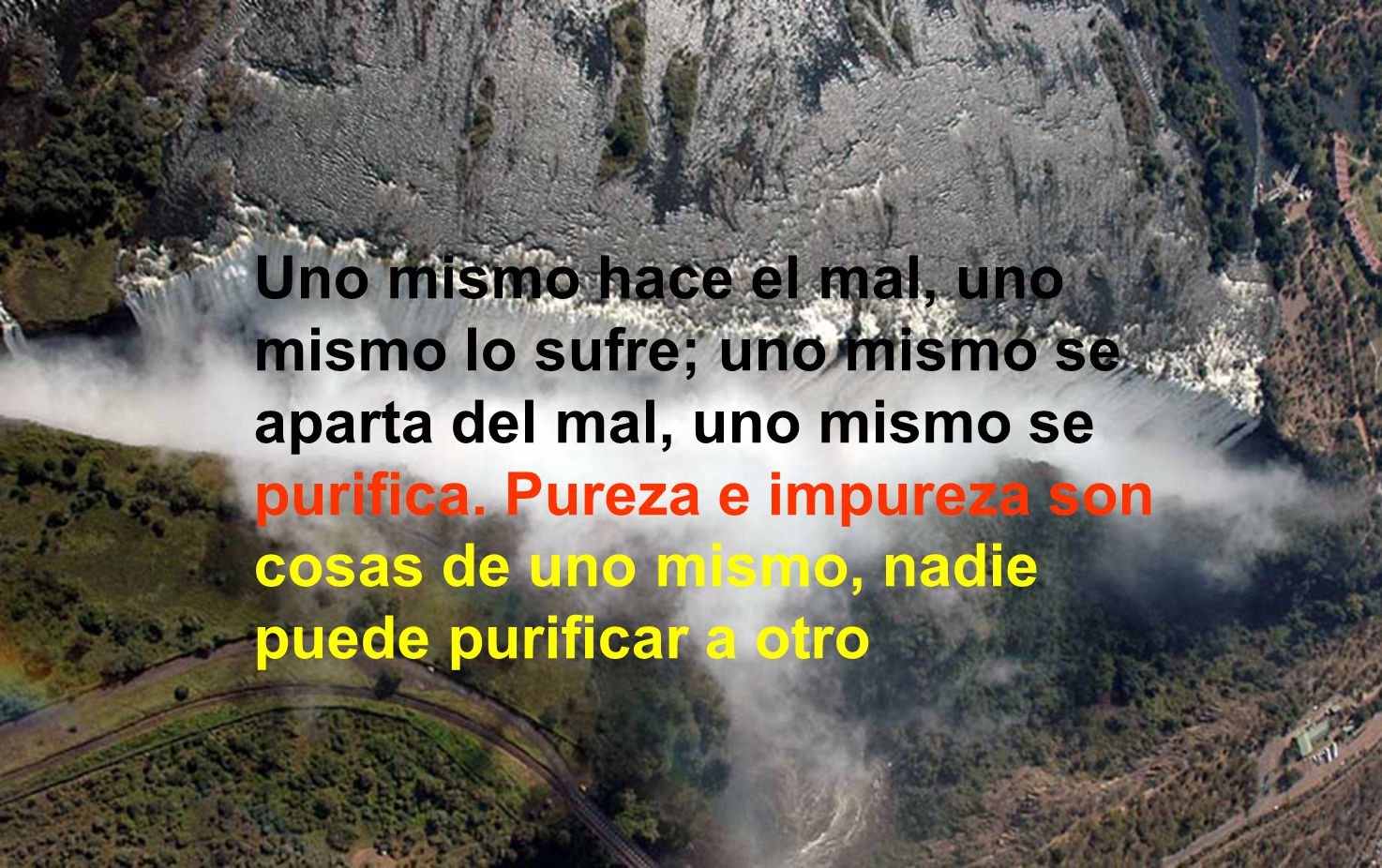 Uno mismo hace el mal, uno mismo lo sufre; uno mismo se aparta del mal, uno mismo se purifica.