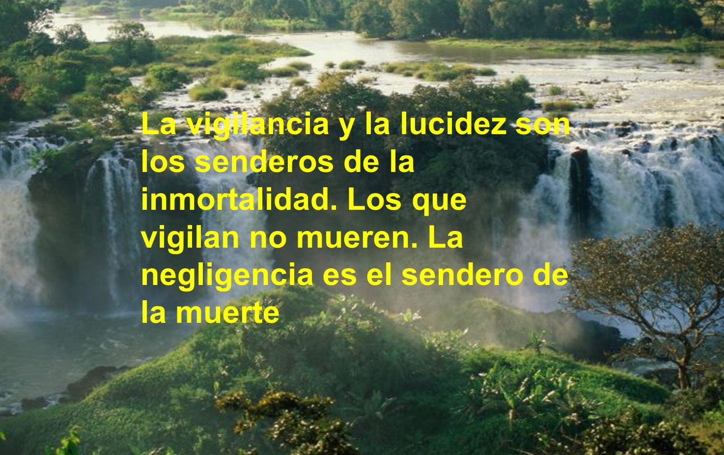 La vigilancia y la lucidez son los senderos de la inmortalidad