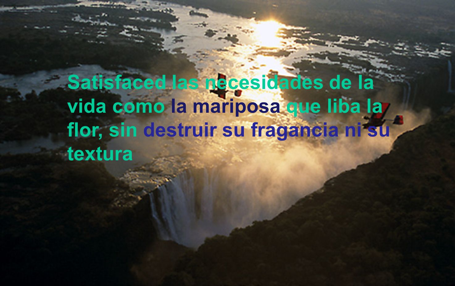 Satisfaced las necesidades de la vida como la mariposa que liba la flor, sin destruir su fragancia ni su textura