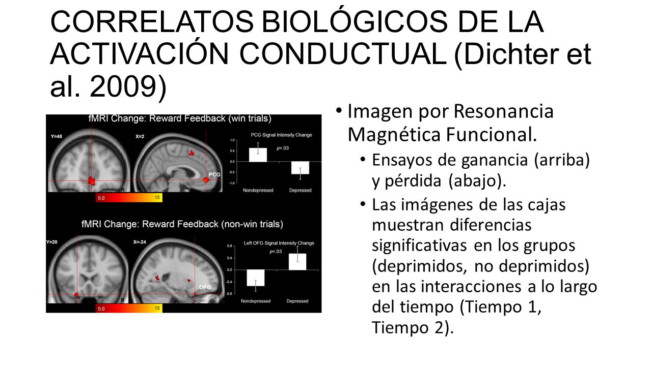 CORRELATOS BIOLÓGICOS DE LA ACTIVACIÓN CONDUCTUAL (Dichter et al. 2009)