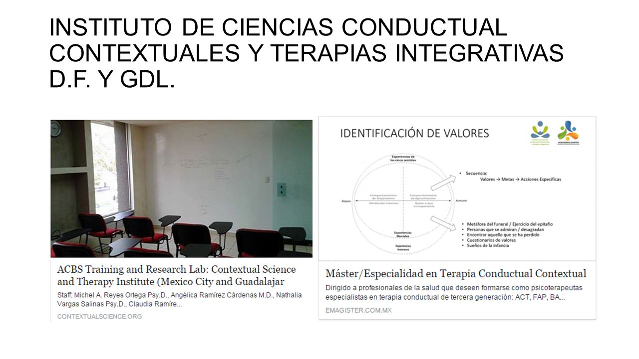 INSTITUTO DE CIENCIAS CONDUCTUAL CONTEXTUALES Y TERAPIAS INTEGRATIVAS D.F. Y GDL.