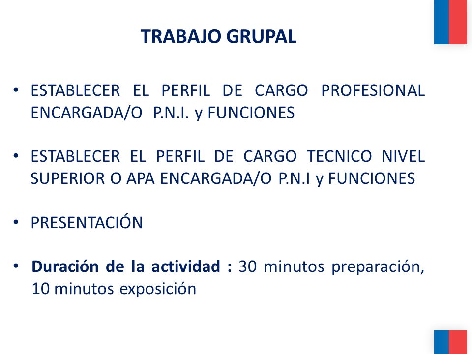 TRABAJO GRUPAL ESTABLECER EL PERFIL DE CARGO PROFESIONAL ENCARGADA/O P.N.I. y FUNCIONES.