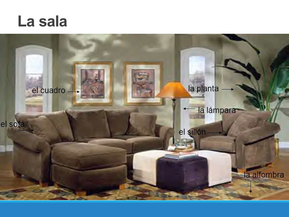 La sala la planta el cuadro la lámpara el sofá el sillón la alfombra