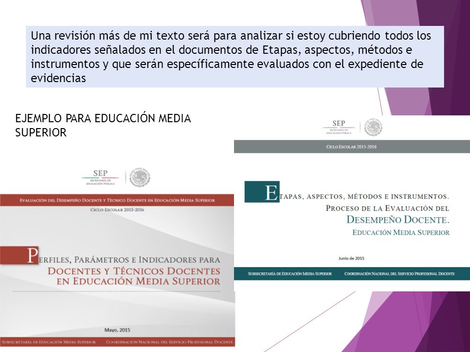 Una revisión más de mi texto será para analizar si estoy cubriendo todos los indicadores señalados en el documentos de Etapas, aspectos, métodos e instrumentos y que serán específicamente evaluados con el expediente de evidencias