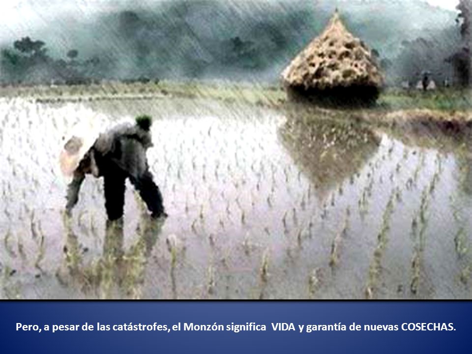 Pero, a pesar de las catástrofes, el Monzón significa VIDA y garantía de nuevas COSECHAS.