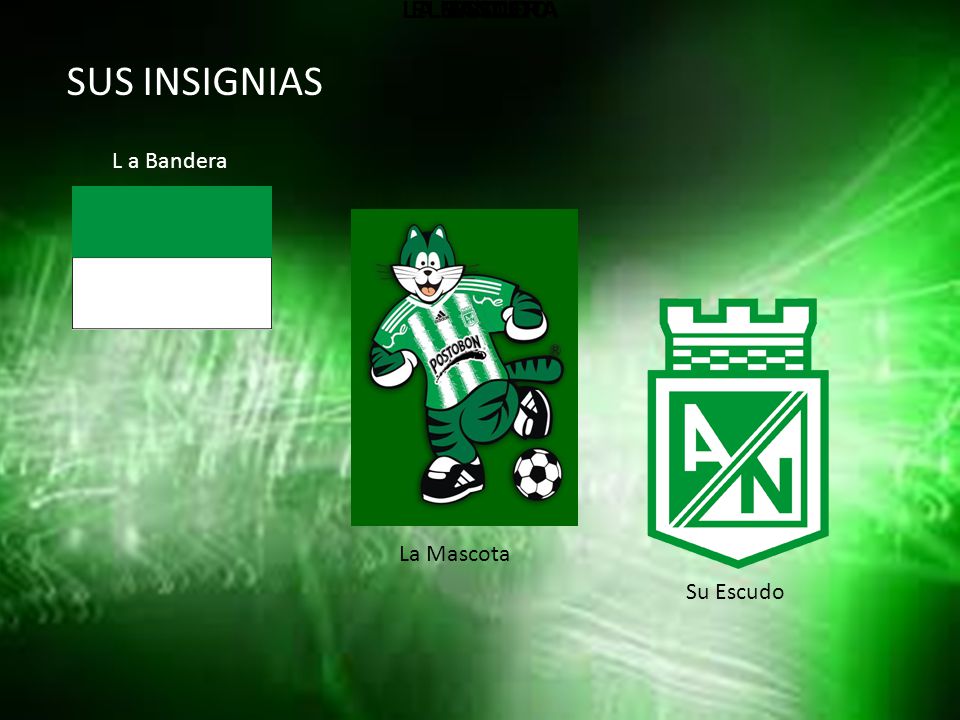 SUS INSIGNIAS LA MASCOTA EL ESCUDO LA BANDERA L a Bandera La Mascota