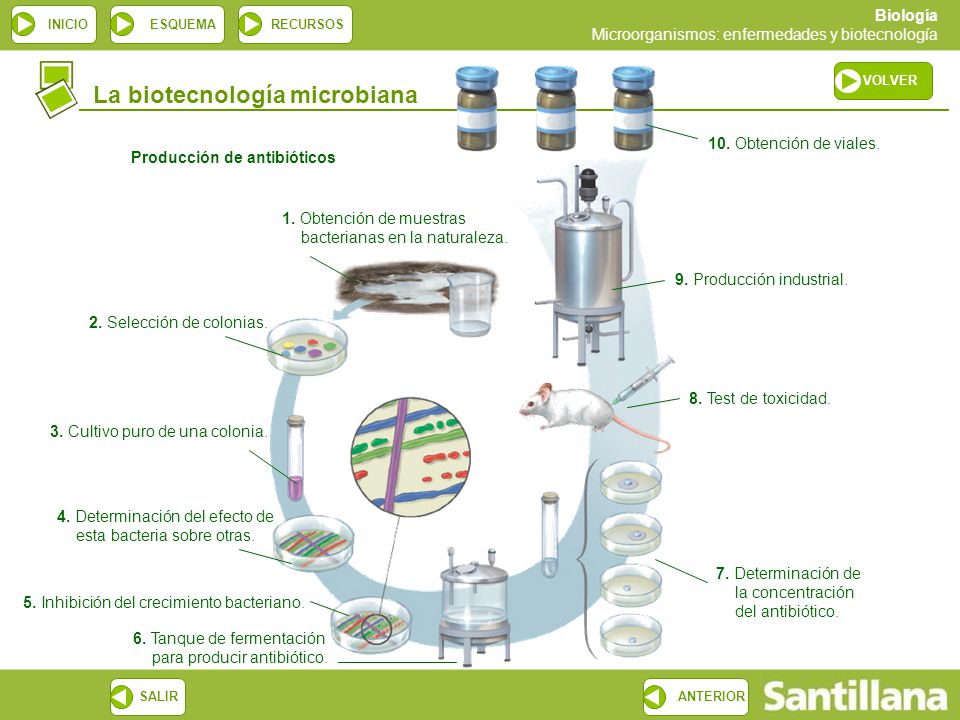 Producción de antibióticos
