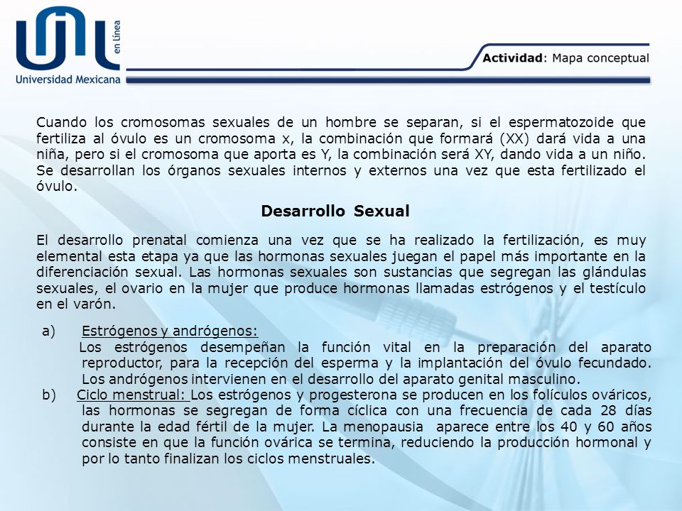 Cuando los cromosomas sexuales de un hombre se separan, si el espermatozoide que fertiliza al óvulo es un cromosoma x, la combinación que formará (XX) dará vida a una niña, pero si el cromosoma que aporta es Y, la combinación será XY, dando vida a un niño. Se desarrollan los órganos sexuales internos y externos una vez que esta fertilizado el óvulo.