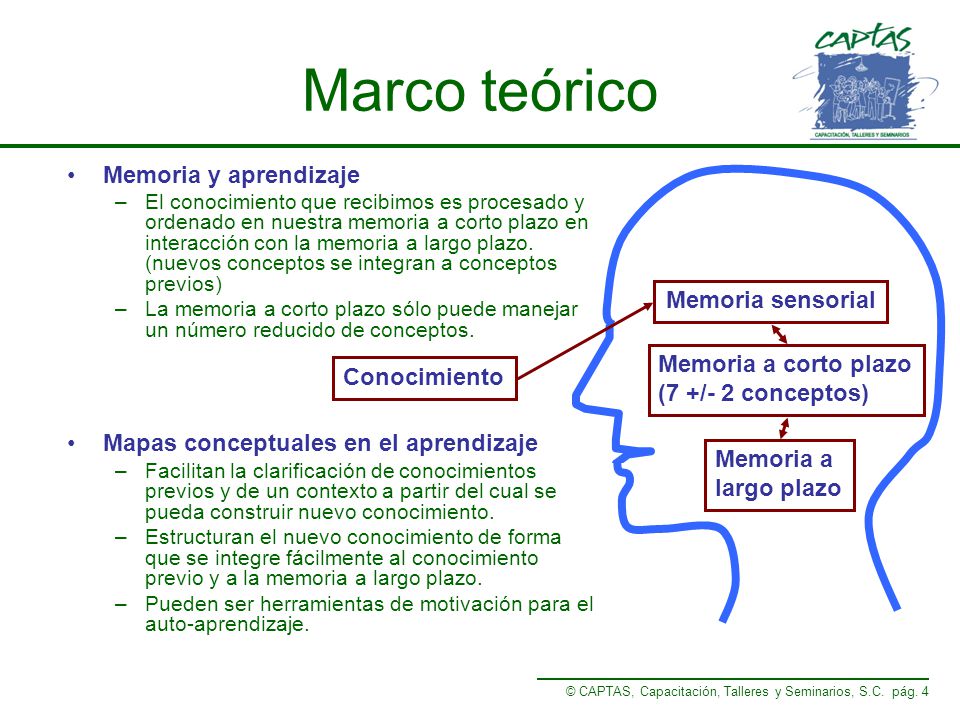 Marco teórico Memoria y aprendizaje Memoria sensorial