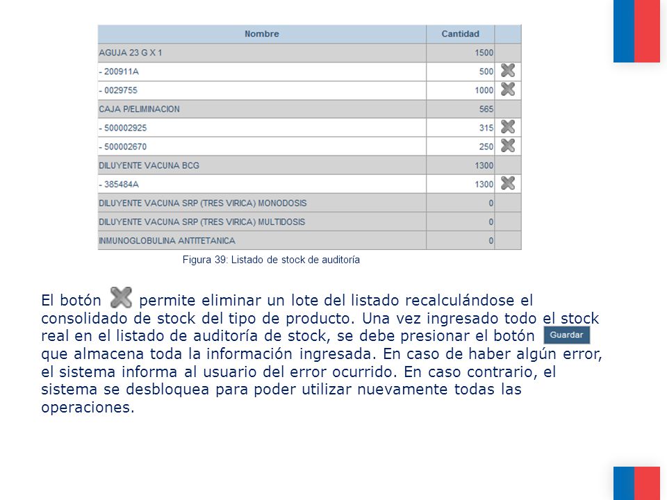 Figura 39: Listado de stock de auditoría