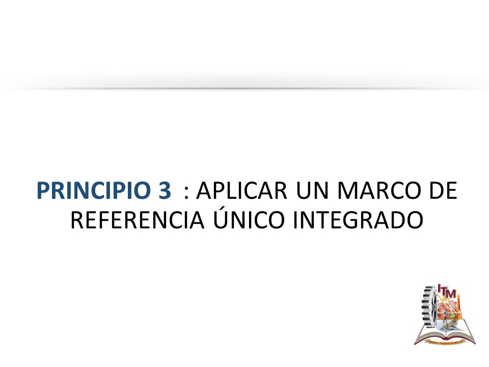 PRINCIPIO 3 : APLICAR UN MARCO DE REFERENCIA ÚNICO INTEGRADO