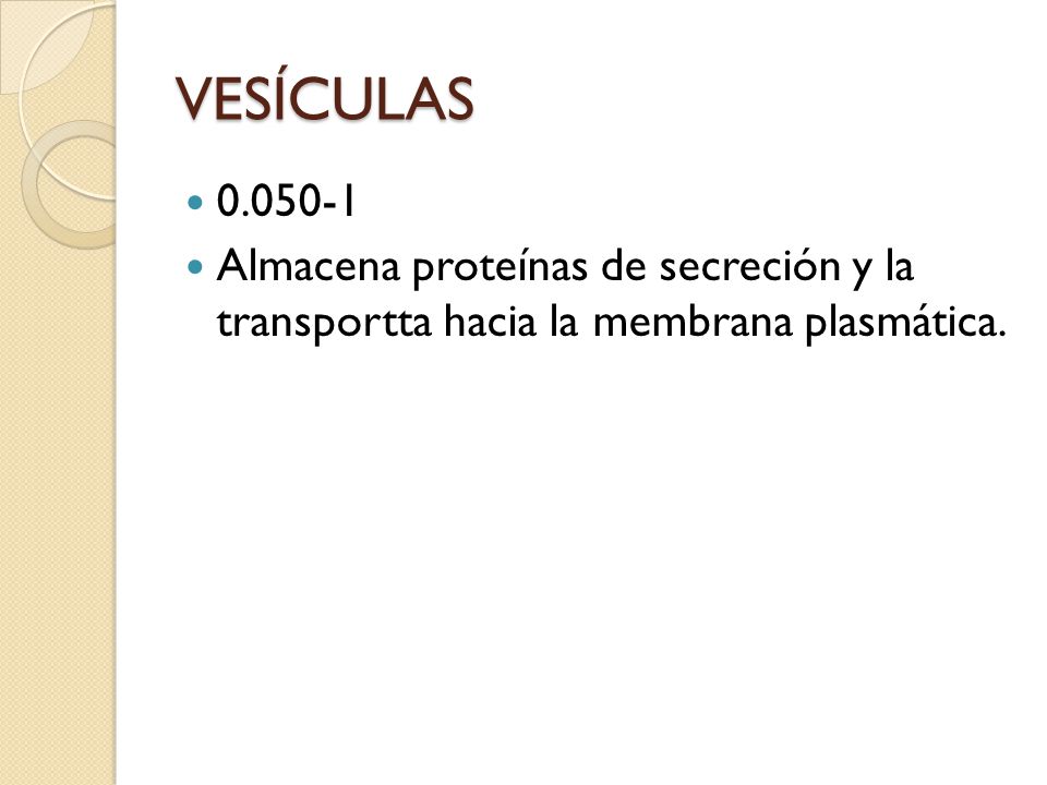 VESÍCULAS Almacena proteínas de secreción y la transportta hacia la membrana plasmática.