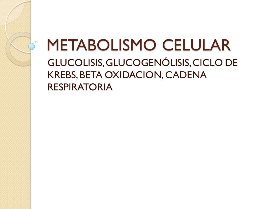 METABOLISMO CELULAR GLUCOLISIS, GLUCOGENÓLISIS, CICLO DE KREBS, BETA OXIDACION, CADENA RESPIRATORIA.