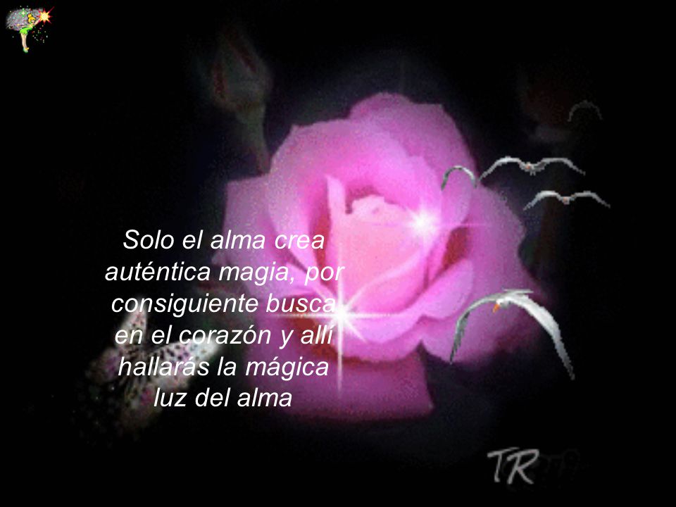 Solo el alma crea auténtica magia, por consiguiente busca en el corazón y allí hallarás la mágica luz del alma
