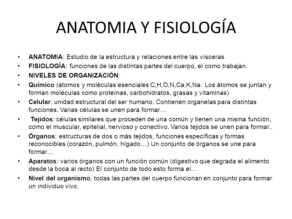 ANATOMIA Y FISIOLOGÍA ANATOMIA: Estudio de la estructura y relaciones entre las vísceras.