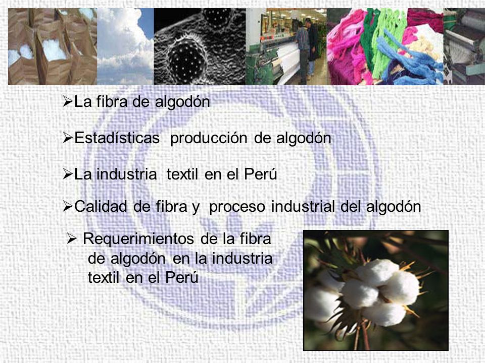 La fibra de algodón Estadísticas producción de algodón. La industria textil en el Perú. Calidad de fibra y proceso industrial del algodón.