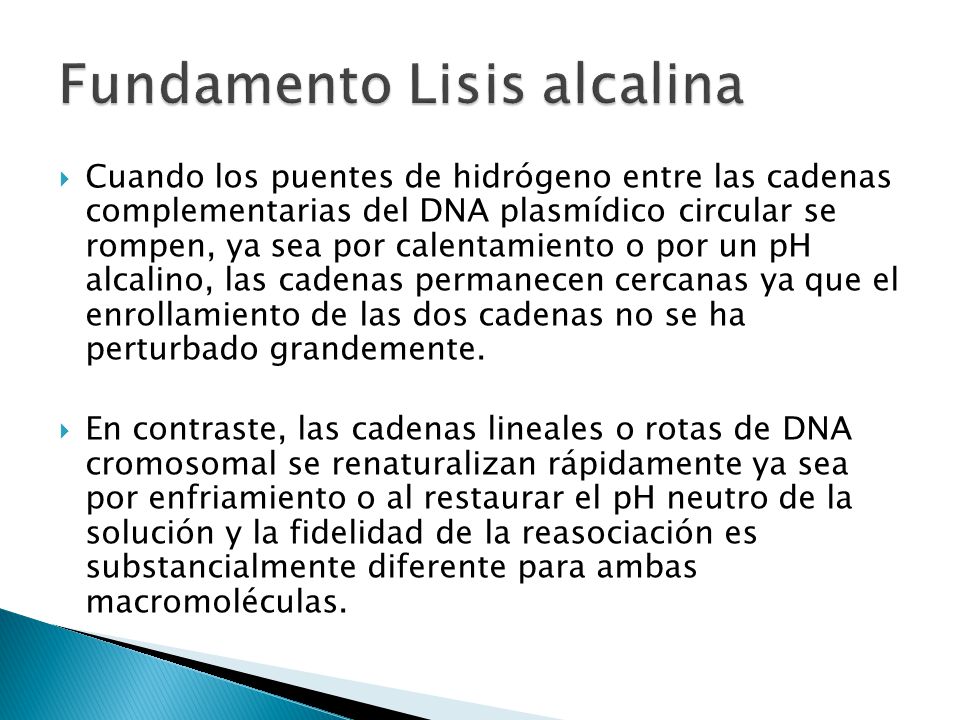 Fundamento Lisis alcalina