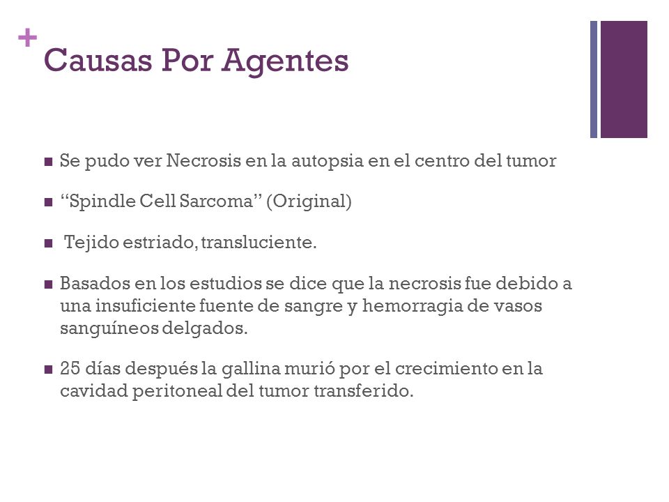 Causas Por Agentes Se pudo ver Necrosis en la autopsia en el centro del tumor. Spindle Cell Sarcoma (Original)