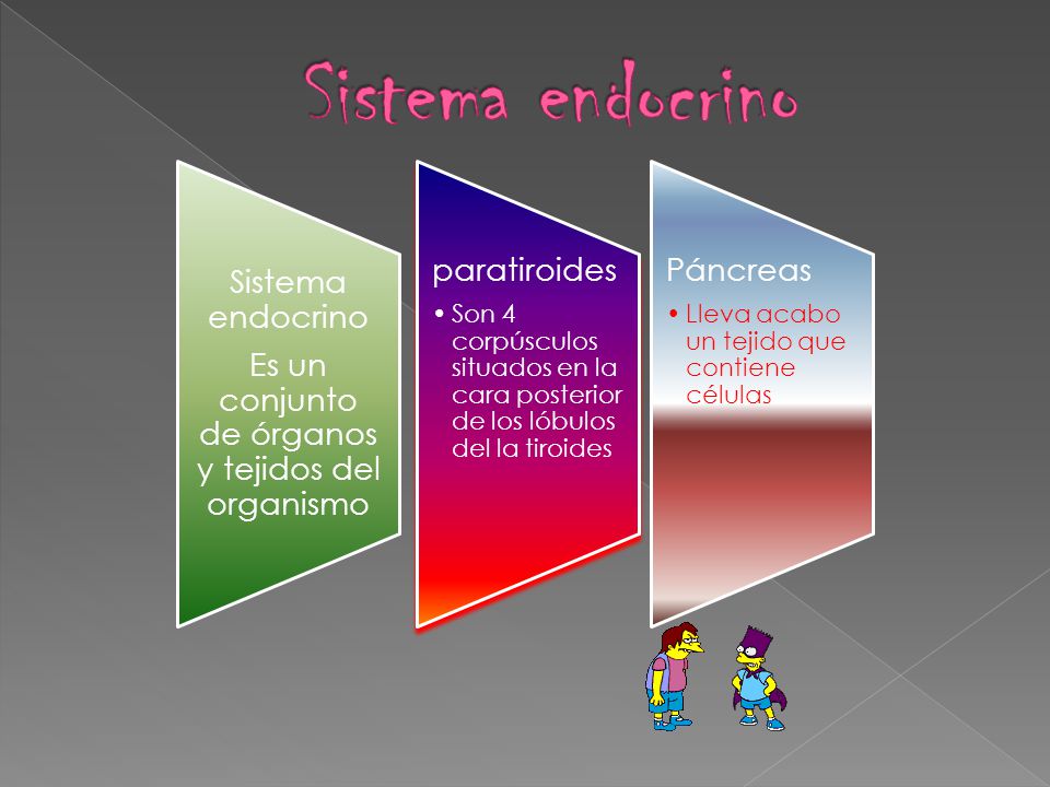 Es un conjunto de órganos y tejidos del organismo