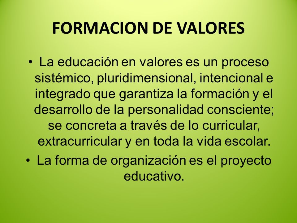 La forma de organización es el proyecto educativo.