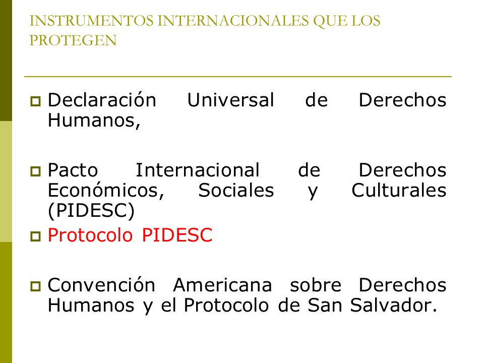 INSTRUMENTOS INTERNACIONALES QUE LOS PROTEGEN