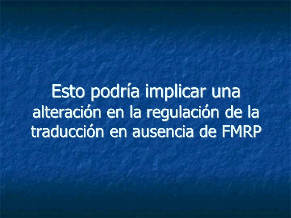 Esto podría implicar una alteración en la regulación de la traducción en ausencia de FMRP