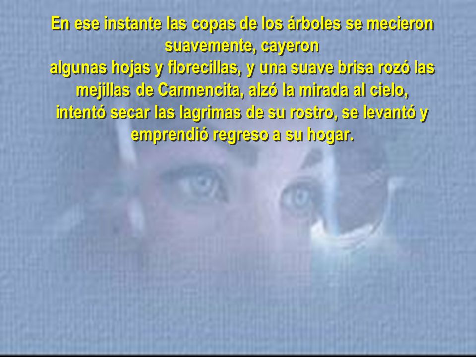 En ese instante las copas de los árboles se mecieron suavemente, cayeron algunas hojas y florecillas, y una suave brisa rozó las mejillas de Carmencita, alzó la mirada al cielo, intentó secar las lagrimas de su rostro, se levantó y emprendió regreso a su hogar.