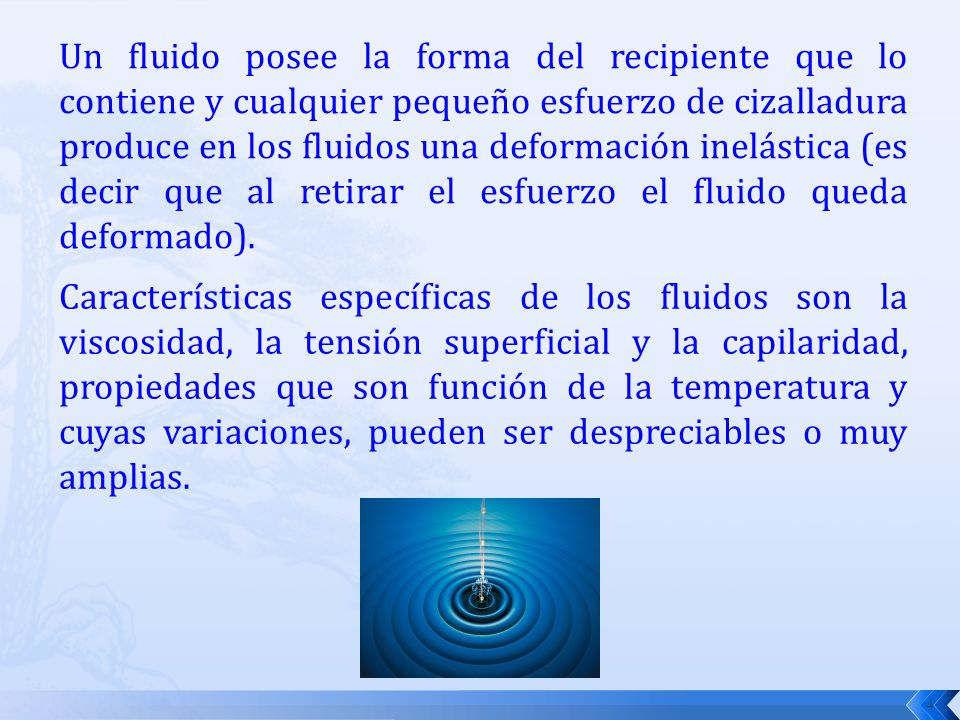 Un fluido posee la forma del recipiente que lo contiene y cualquier pequeño esfuerzo de cizalladura produce en los fluidos una deformación inelástica (es decir que al retirar el esfuerzo el fluido queda deformado).
