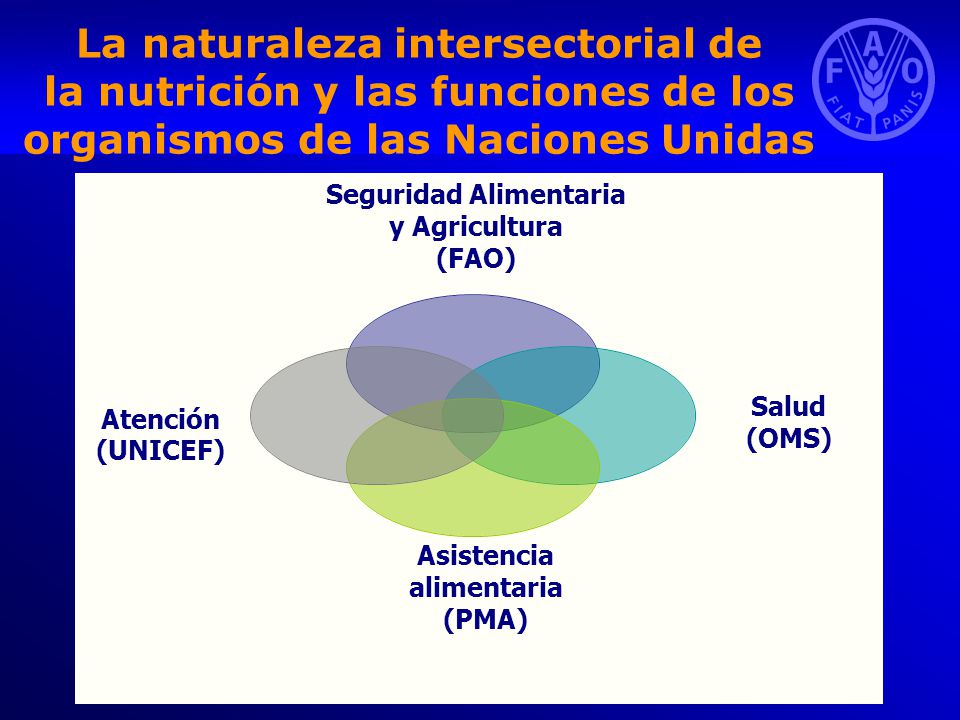 La naturaleza intersectorial de la nutrición y las funciones de los organismos de las Naciones Unidas
