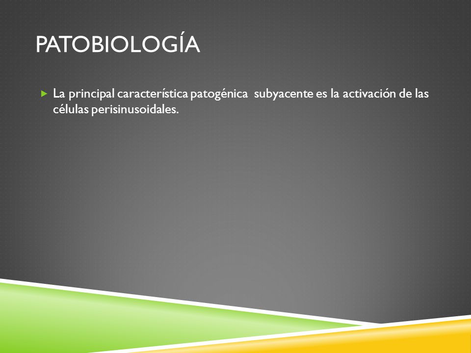 Patobiología La principal característica patogénica subyacente es la activación de las células perisinusoidales.