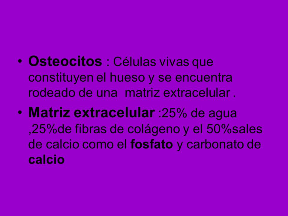 Osteocitos : Células vivas que constituyen el hueso y se encuentra rodeado de una matriz extracelular .
