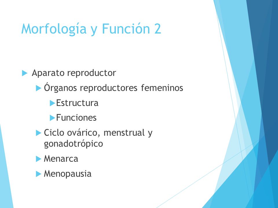 Morfología y Función 2 Aparato reproductor