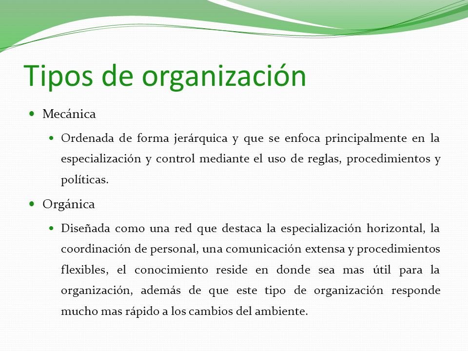 Tipos de organización Mecánica Orgánica