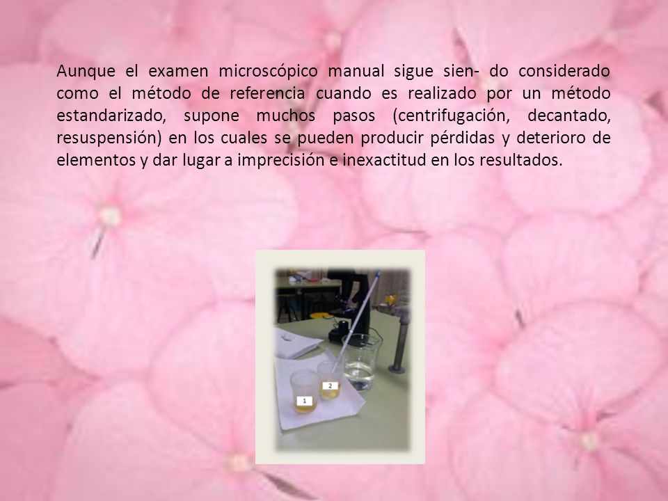 Aunque el examen microscópico manual sigue sien- do considerado como el método de referencia cuando es realizado por un método estandarizado, supone muchos pasos (centrifugación, decantado, resuspensión) en los cuales se pueden producir pérdidas y deterioro de elementos y dar lugar a imprecisión e inexactitud en los resultados.