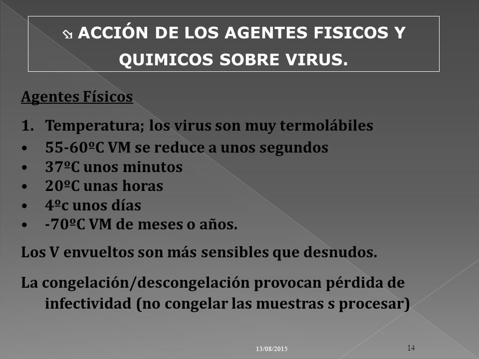  ACCIÓN DE LOS AGENTES FISICOS Y QUIMICOS SOBRE VIRUS.