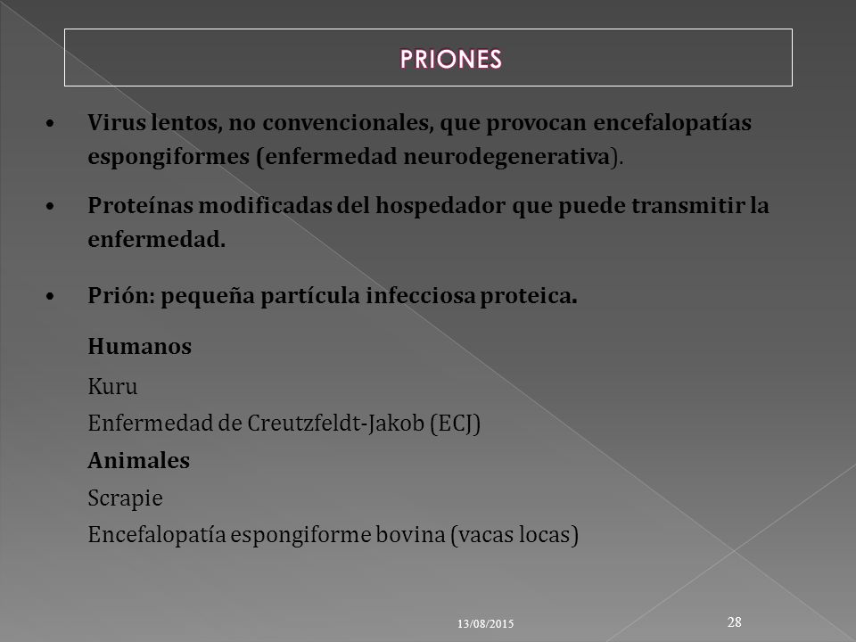 PRIONES Virus lentos, no convencionales, que provocan encefalopatías espongiformes (enfermedad neurodegenerativa).