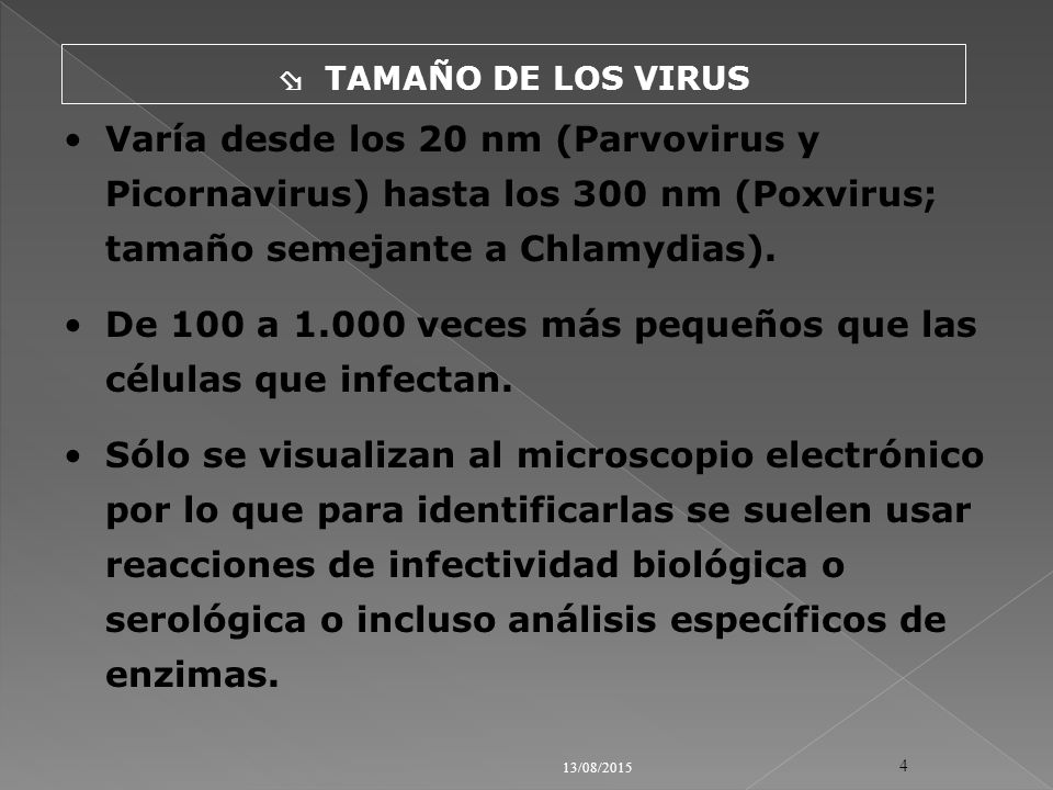 De 100 a veces más pequeños que las células que infectan.